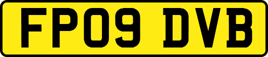 FP09DVB