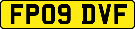 FP09DVF