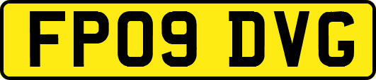 FP09DVG