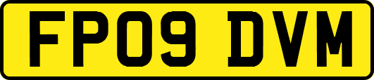 FP09DVM