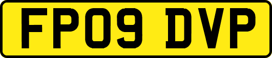 FP09DVP