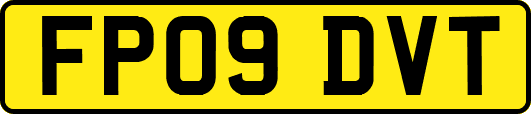 FP09DVT