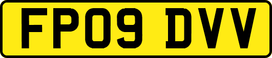 FP09DVV