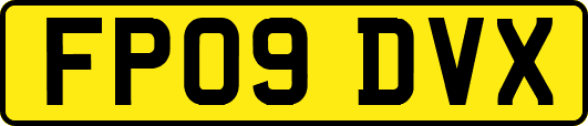 FP09DVX