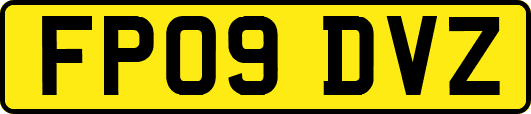 FP09DVZ