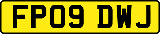 FP09DWJ
