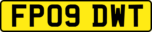 FP09DWT