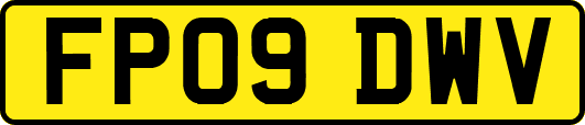 FP09DWV