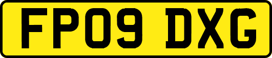 FP09DXG