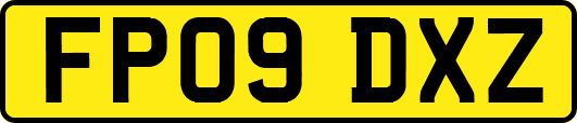 FP09DXZ