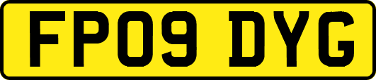 FP09DYG