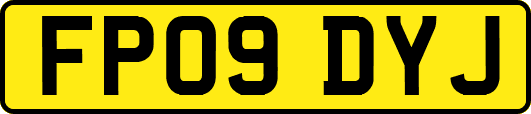 FP09DYJ