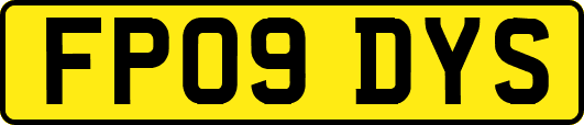 FP09DYS