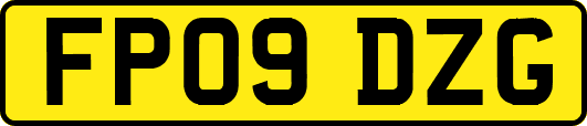 FP09DZG