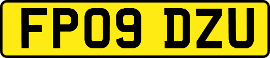 FP09DZU