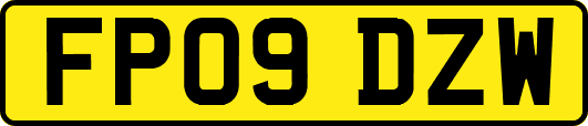 FP09DZW