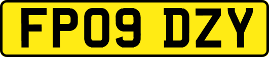 FP09DZY