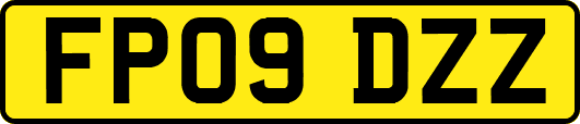 FP09DZZ