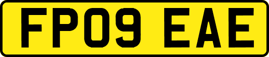 FP09EAE