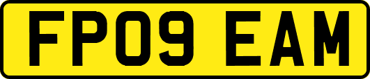 FP09EAM