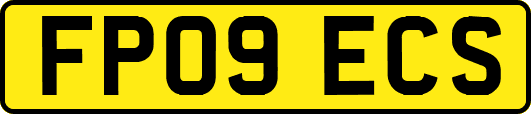 FP09ECS