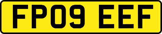 FP09EEF