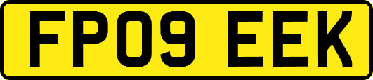 FP09EEK