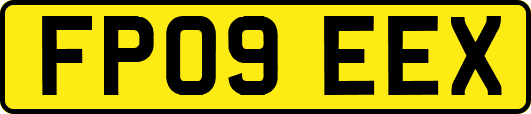FP09EEX