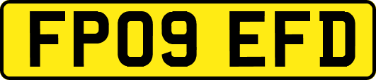 FP09EFD