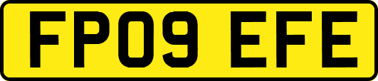 FP09EFE