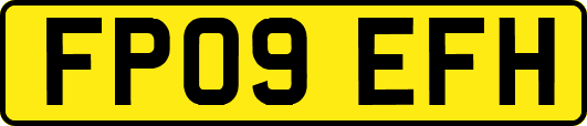FP09EFH