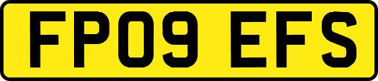 FP09EFS