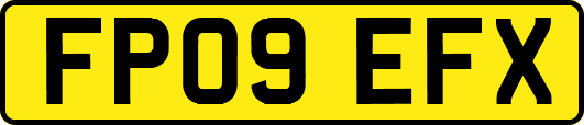 FP09EFX