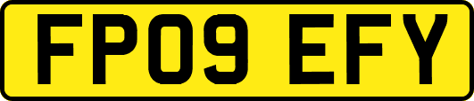 FP09EFY