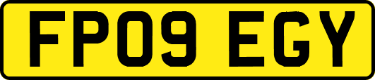FP09EGY