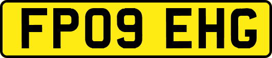 FP09EHG
