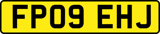 FP09EHJ