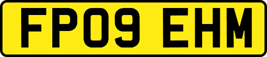 FP09EHM