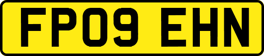 FP09EHN