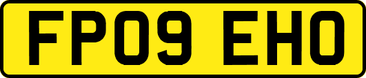 FP09EHO