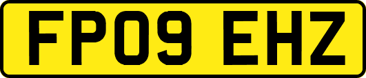 FP09EHZ
