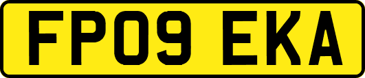 FP09EKA
