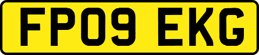FP09EKG