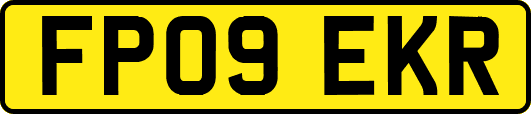 FP09EKR