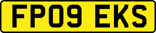 FP09EKS