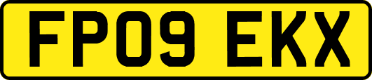 FP09EKX