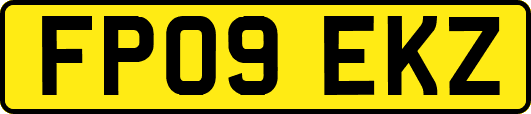 FP09EKZ