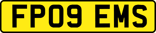 FP09EMS