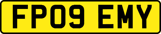 FP09EMY