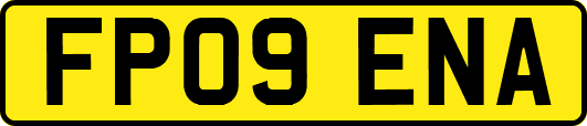 FP09ENA